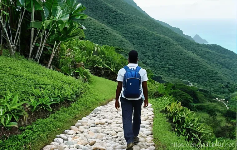 아이티의 치안과 여행객이 조심해야 할 사항 - **A Vibrant Community Gathering:**
    A bustling outdoor community event or market in a warm, sunny...