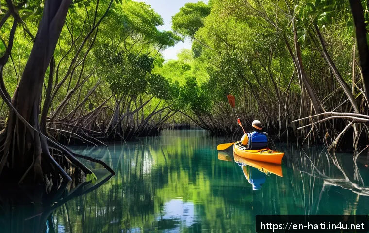 아이티에서 경험할 수 있는 자연 체험 활동 관련 이미지 2